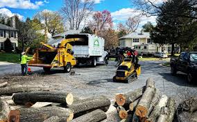 Best Tree Mulching Services  in Stirling, NJ